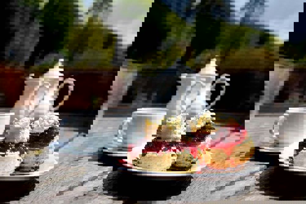 Bourne Valley Singer Music and Cream Tea